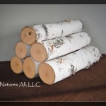 Decorative Birch Logs For Fireplace Australia