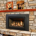 Kozy Heat Fireplace Reviews