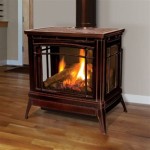 Vented Natural Gas Freestanding Fireplace